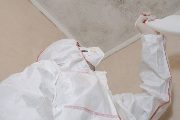 Best Fast Mold Removal  in Hastings, PA