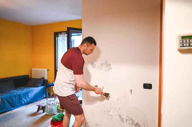 Best Mold Cleaning Services  in Hastings, PA