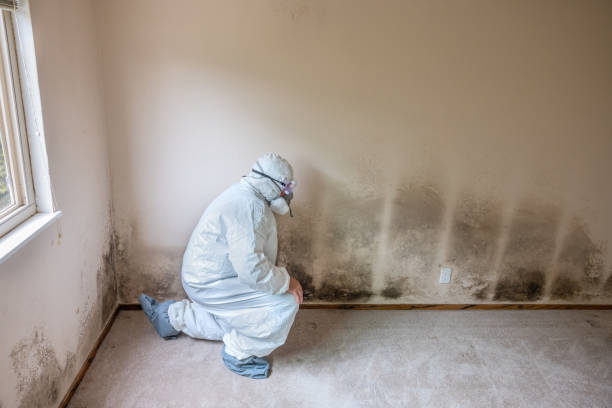 Best Mold Testing  in Hastings, PA